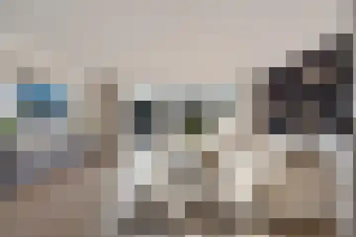 Dorserf 30 Benthuizen