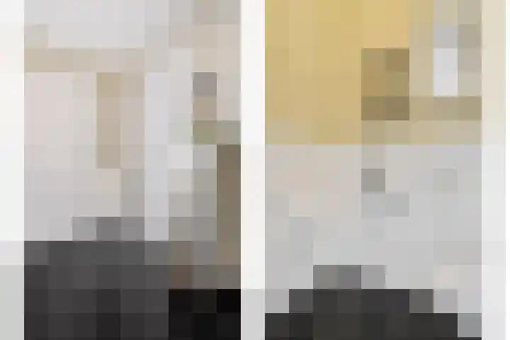 Dorsmolen 2 Denekamp thumbnail 14