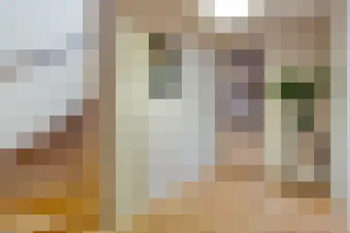 Dorsmolen 2 Denekamp thumbnail 15