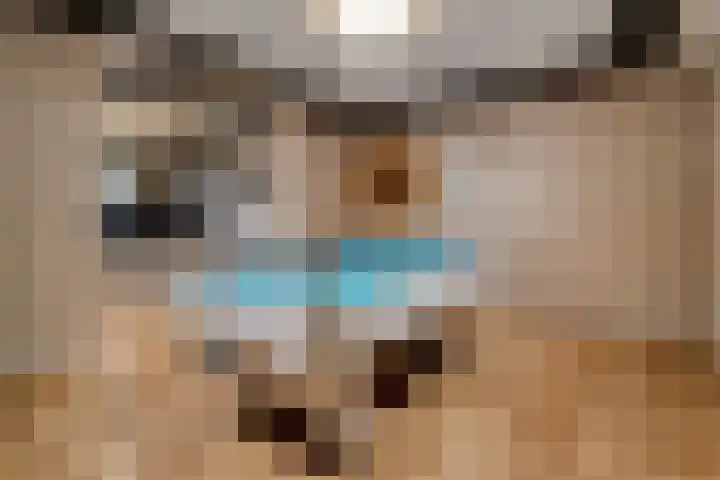 Dorsmolen 2 Denekamp thumbnail 18