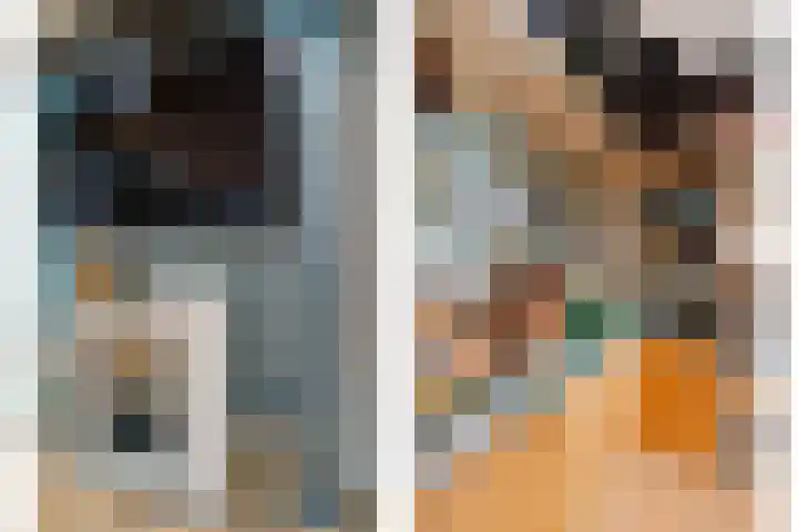 Dorsmolen 2 Denekamp thumbnail 19