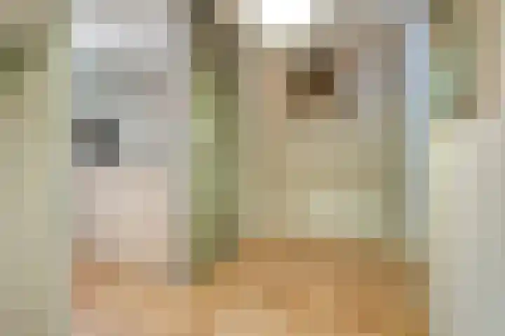 Dorsmolen 2 Denekamp thumbnail 20