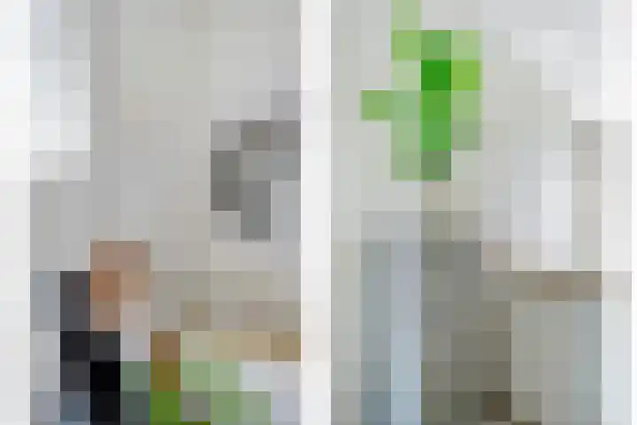 Dorsmolen 2 Denekamp thumbnail 22