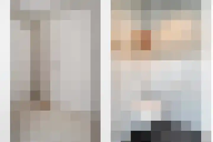 Dorsmolen 2 Denekamp thumbnail 23