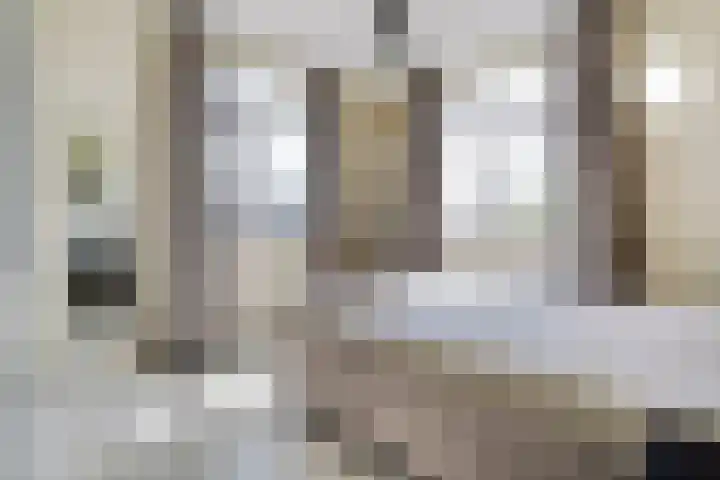Dorsmolen 2 Denekamp thumbnail 26