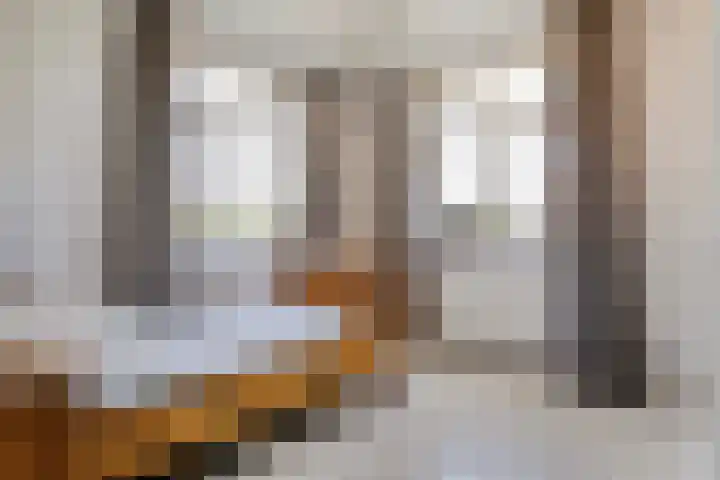 Dorsmolen 2 Denekamp thumbnail 27