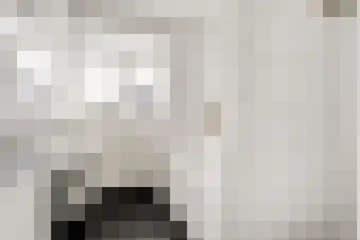 Dorsmolen 2 Denekamp thumbnail 28