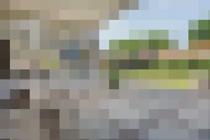 Dorsmolen 2 Denekamp thumbnail 34