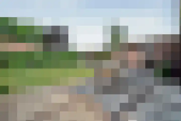 Dorsmolen 2 Denekamp thumbnail 35