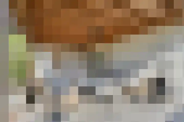 Dorsmolen 2 Denekamp thumbnail 36