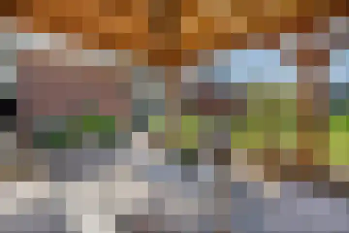 Dorsmolen 2 Denekamp thumbnail 38