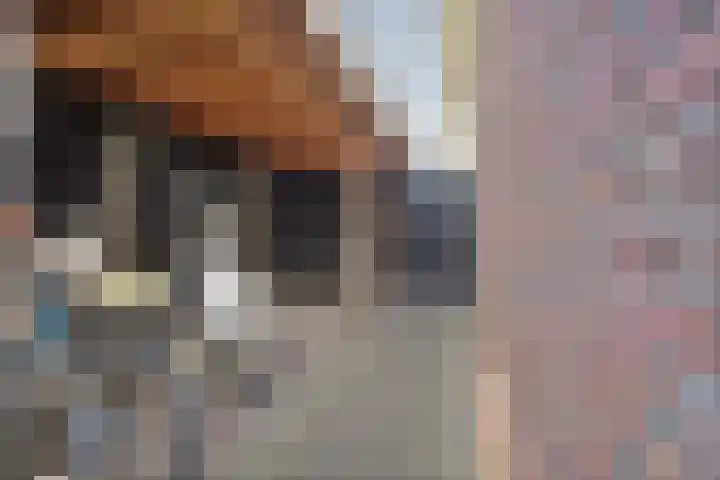 Dorsmolen 2 Denekamp thumbnail 39