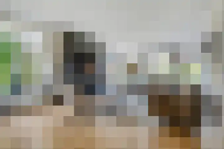 Dorsmolen 2 Denekamp thumbnail 4