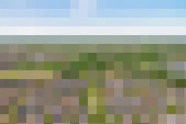 Dorsmolen 2 Denekamp thumbnail 40