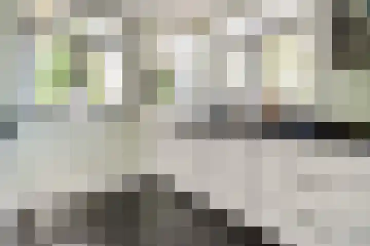 Dorsmolen 2 Denekamp thumbnail 7