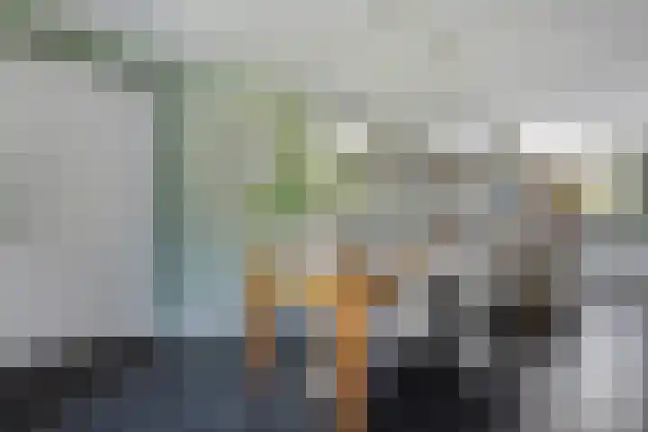 Dorsmolen 2 Denekamp thumbnail 8