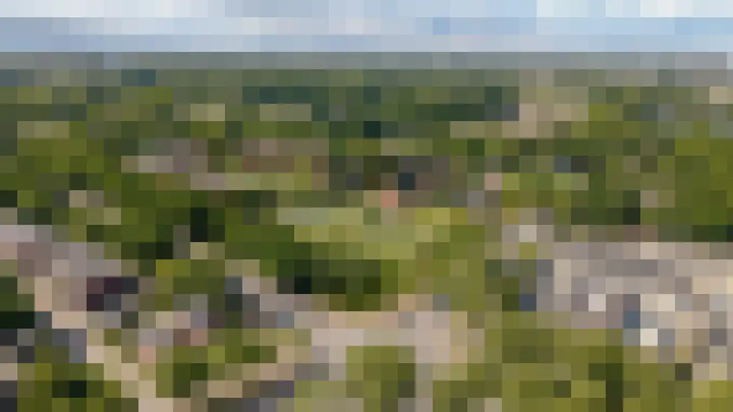 Dorstseweg 31 Bavel thumbnail 7