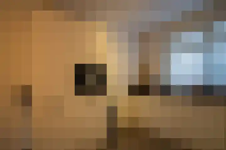 Dorsvlegel 1 De Moer thumbnail 10