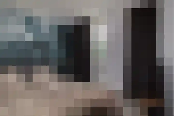 Dorsvlegel 1 De Moer thumbnail 15