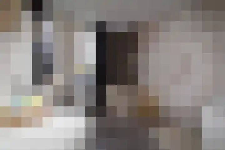 Dorsvlegel 1 De Moer thumbnail 16