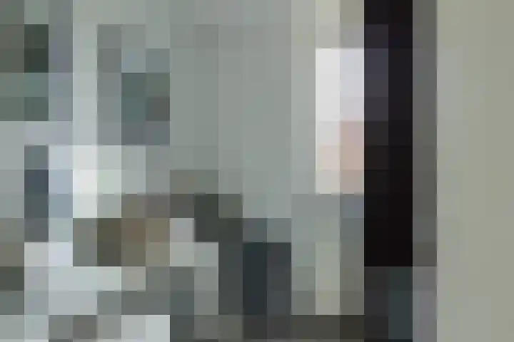 Dorsvlegel 1 De Moer thumbnail 17