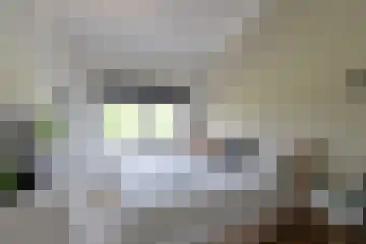 Dorsvlegel 55 Soest thumbnail 13