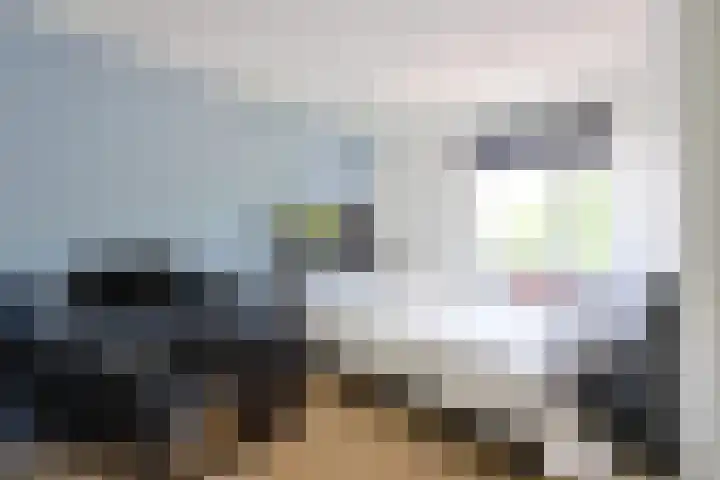 Dorsvlegel 55 Soest thumbnail 19