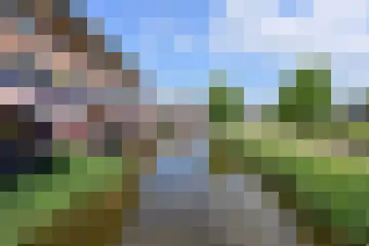 Dorsvlegel 55 Soest thumbnail 25