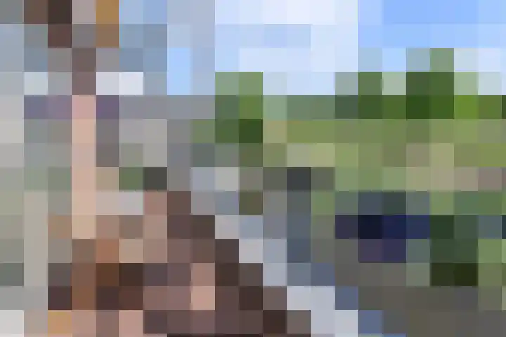 Dorsvlegel 55 Soest thumbnail 4