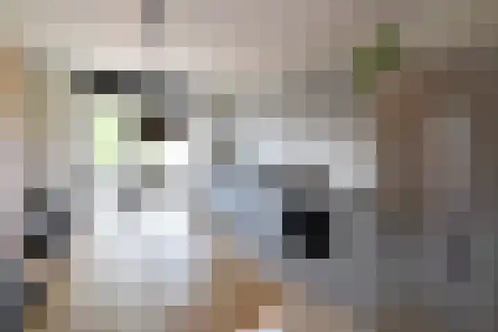 Dorsvlegel 55 Soest thumbnail 8