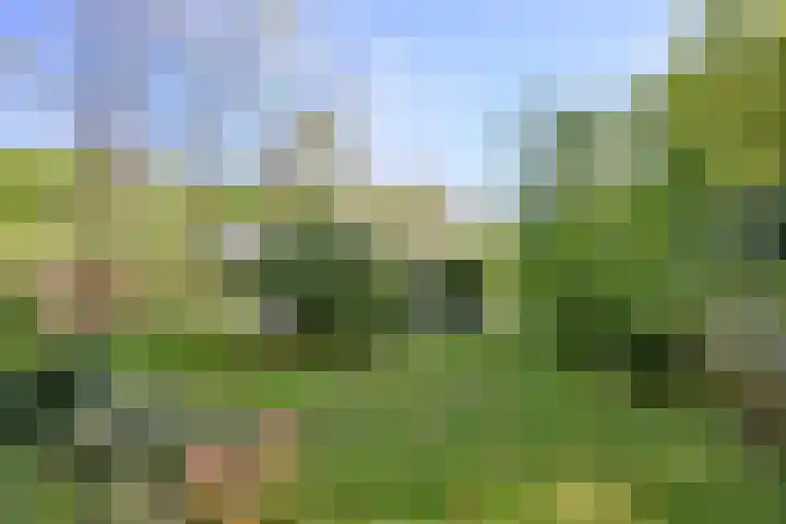 Dortherdijk 3 b Joppe thumbnail 22