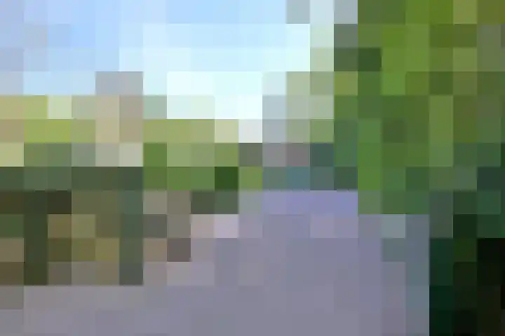 Dortherdijk 3 b Joppe thumbnail 26
