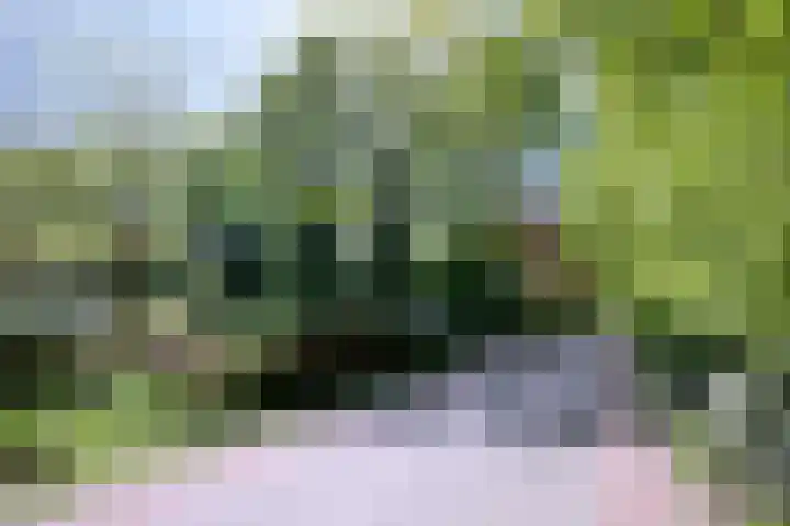 Dortherdijk 3 b Joppe thumbnail 27