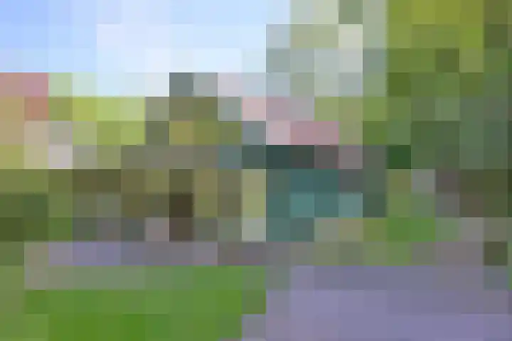Dortherdijk 3 b Joppe thumbnail 31