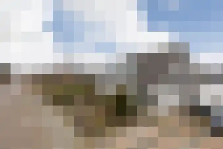 Dotinga Tún 19 Dronryp