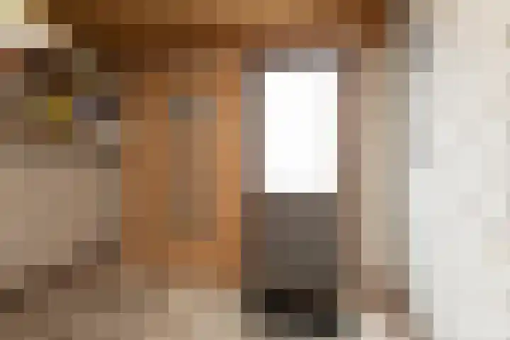 Dotinga Tún 19 Dronryp thumbnail 13