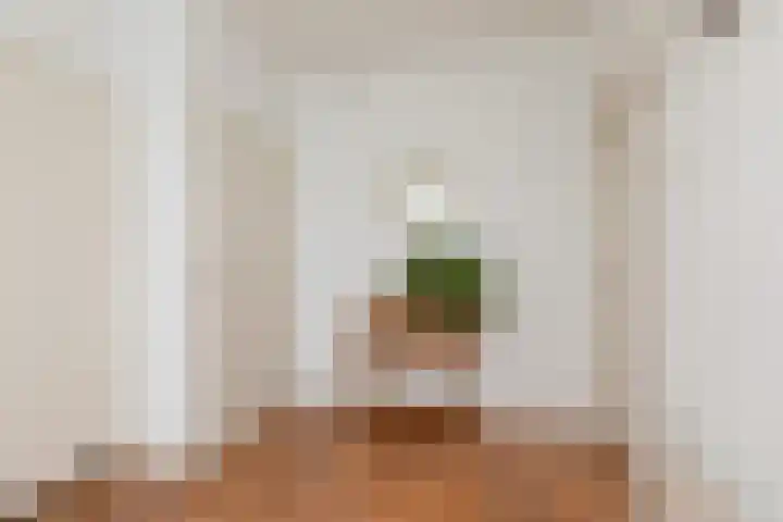 Dotinga Tún 19 Dronryp thumbnail 14