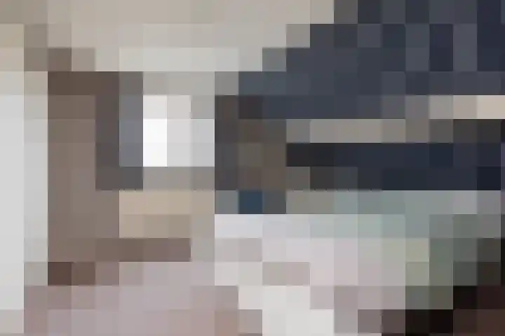 Dotinga Tún 19 Dronryp thumbnail 18