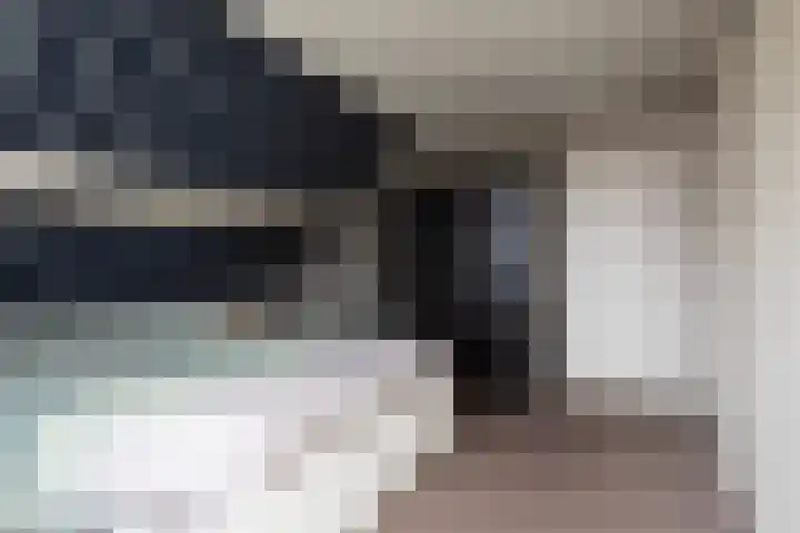 Dotinga Tún 19 Dronryp thumbnail 19