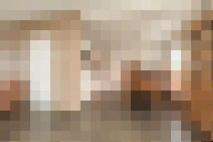 Dotinga Tún 19 Dronryp thumbnail 6