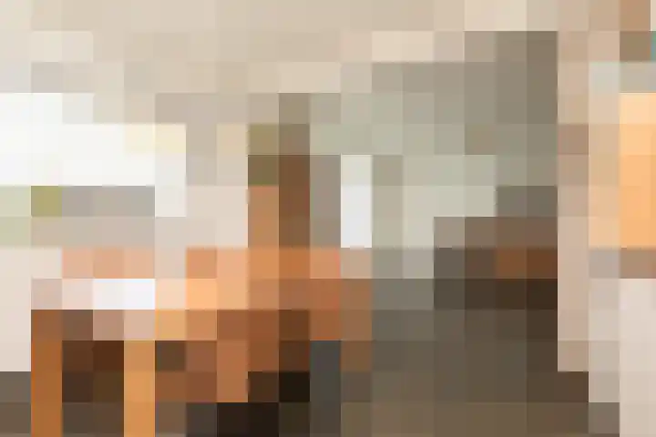 Dotinga Tún 19 Dronryp thumbnail 9