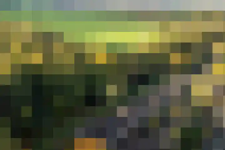 Dotter 9 Doorn foto 2