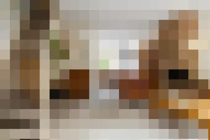 Dotter 9 Doorn thumbnail 20