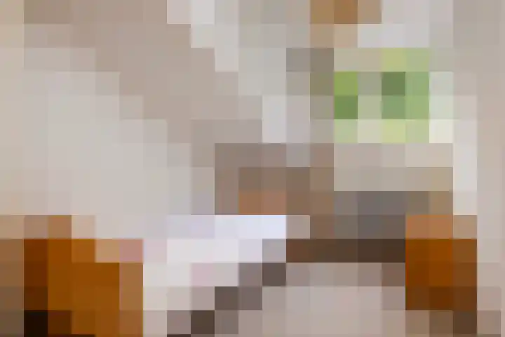 Dotter 9 Doorn thumbnail 22
