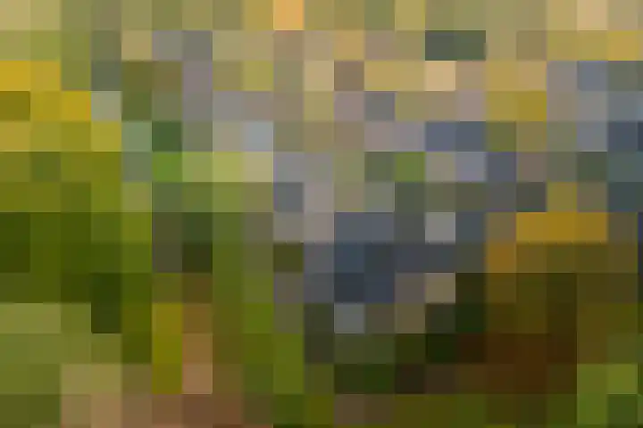 Dotter 9 Doorn thumbnail 29