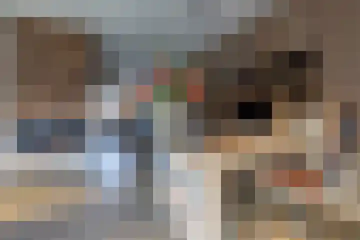 Dotterbeemd 1 Blaricum thumbnail 10