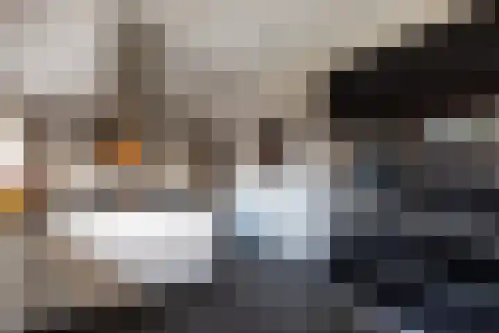 Dotterbeemd 1 Blaricum thumbnail 16