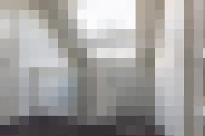 Dotterbeemd 1 Blaricum thumbnail 19