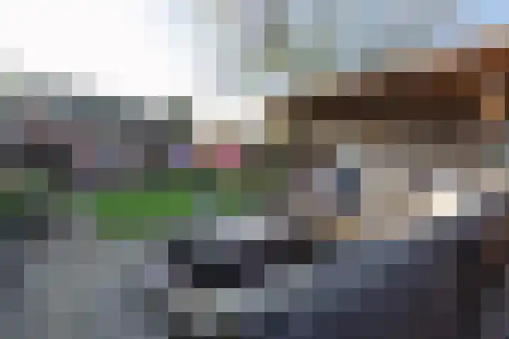 Dotterbeemd 1 Blaricum thumbnail 26