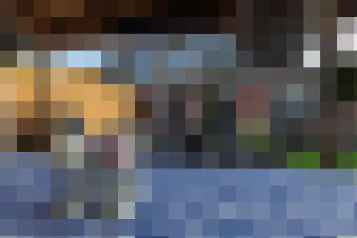 Dotterbeemd 1 Blaricum thumbnail 27